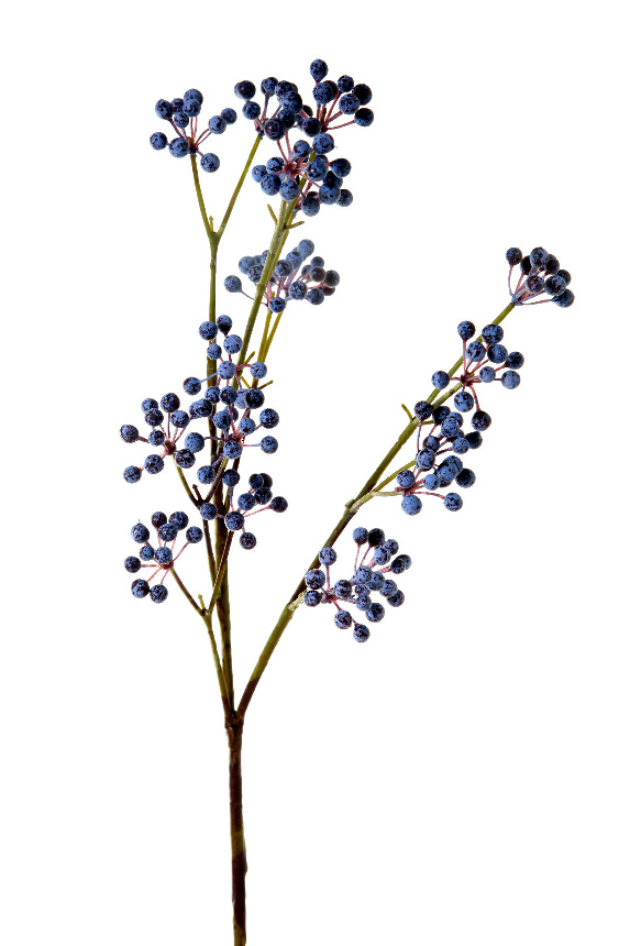 Berry spray blue 72cm