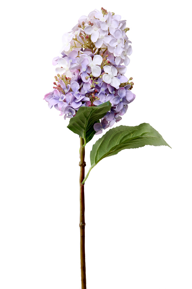 violet white 52cm