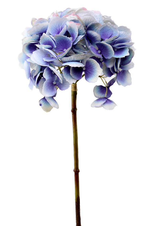 violet blue 46cm